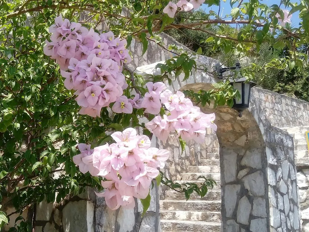Studios Rania Aparthotel Lassi  Lassi (Kefalonia)